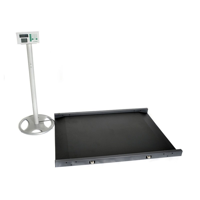 MHS2500 Hoist Weighing Scales