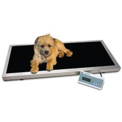 V-250 Large Veterinary Scales